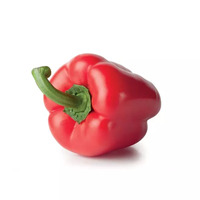 350 gramme(s) de poivron(s) rouge(s)