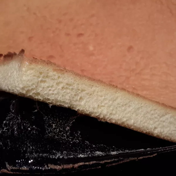 Biscuit génoise Flexipaninie 