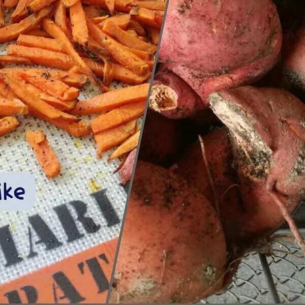 FRITES PATATES DOUCES