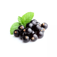 350 gramme(s) de purée de cassis