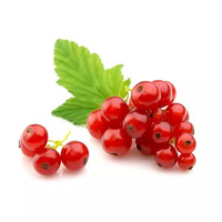 200 gramme(s) de groseilles