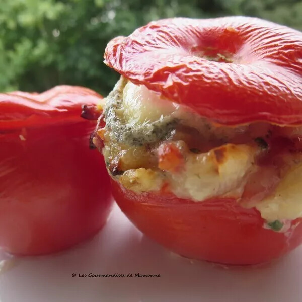 Tomates au Sainte-Maure (IG bas)