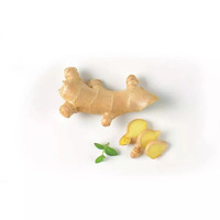 3 gramme(s) de gingembre râpé