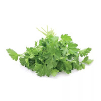 4 gramme(s) de pluches de persil plat