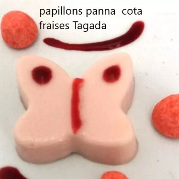 Papillon panna cota fraises tagada