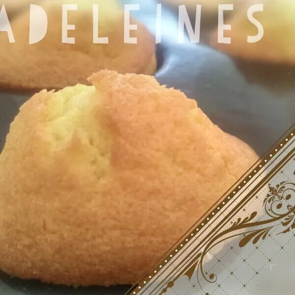 Madeleines