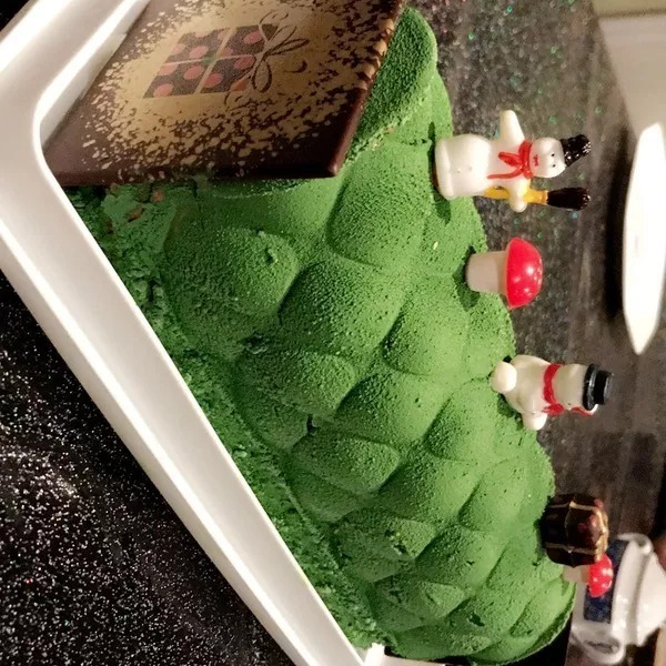 Bûche  Chocolat poire praliné 