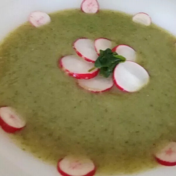 VELOUTE BOTTE DE RADIS