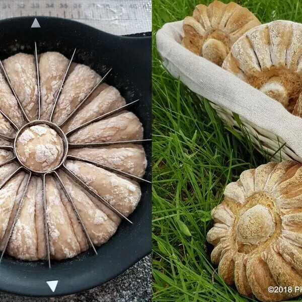 Façonnage de petits pains