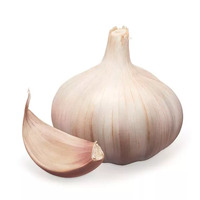 5 gramme(s) de pâte d'ail