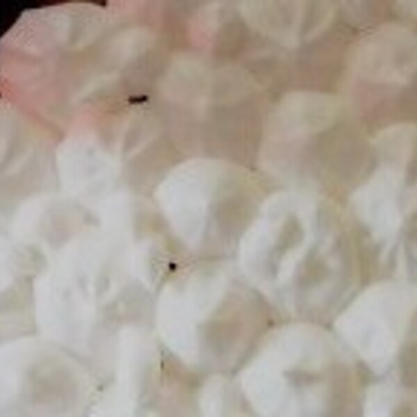 Tarte au citron meringuée Végan