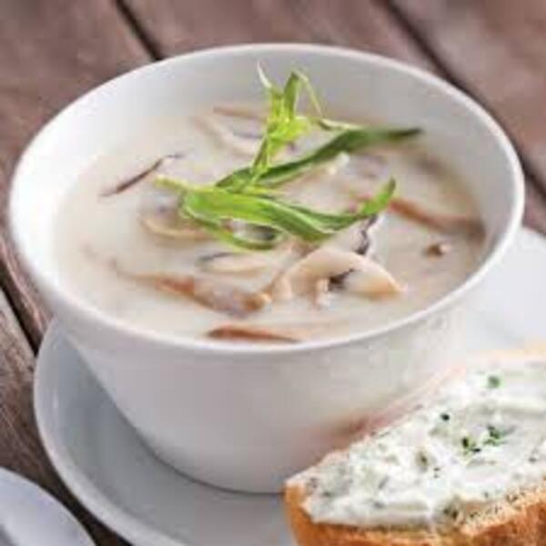 Crème de champignons