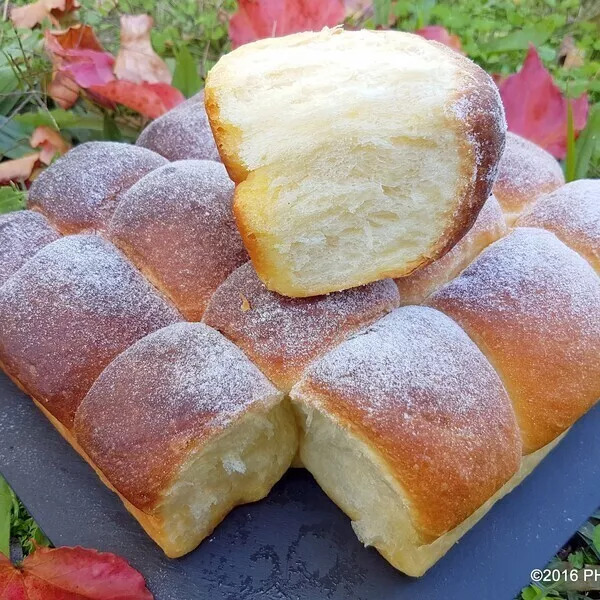 Butchy, brioche nordique