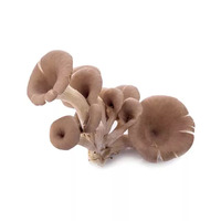 200 gramme(s) de pleurotes