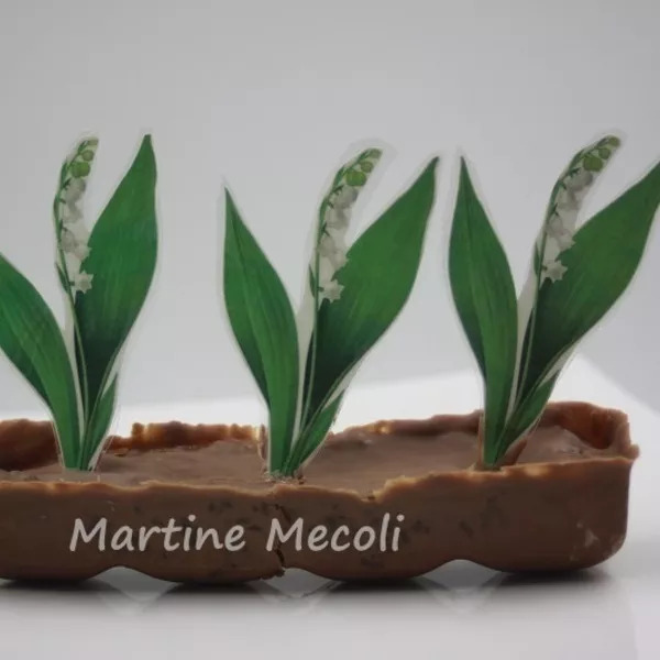 Jardinières en chocolat