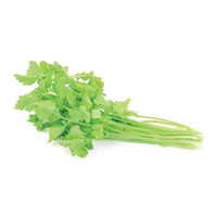 2 branches de céleri 