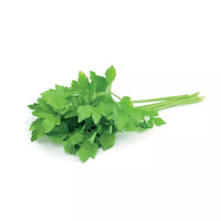 4 gramme(s) de pluches de coriandre