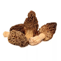 10 gramme(s) de morilles réhydratées