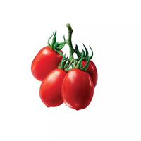 8 tomate(s) rouge(s) coeur de pigeon